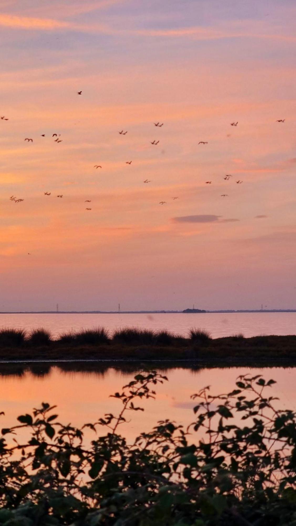 Al Ponticello Bed & Breakfast Comacchio Eksteriør bilde