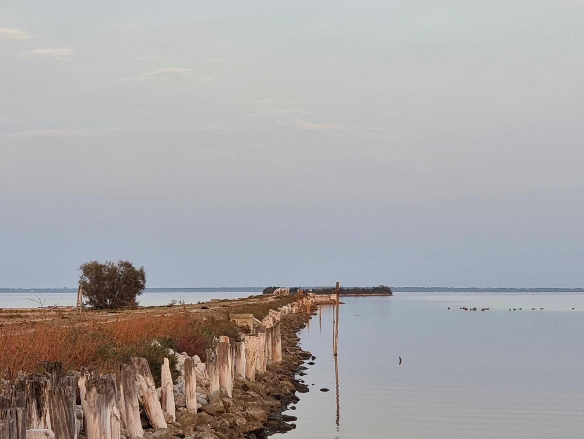 Al Ponticello Bed & Breakfast Comacchio Eksteriør bilde
